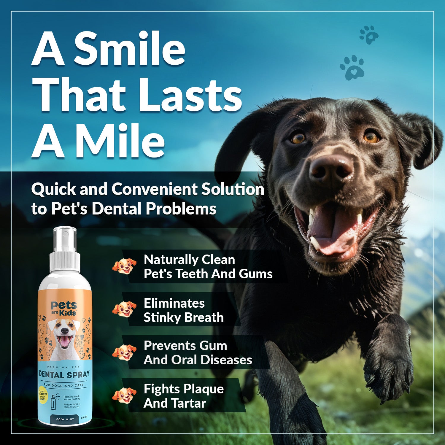 Premium Pet Dental Spray